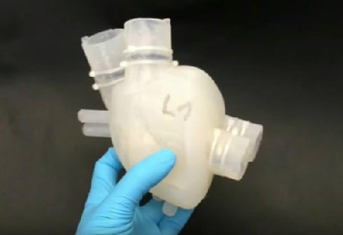 The world's first 3D printed heart: blood and flesh will beat