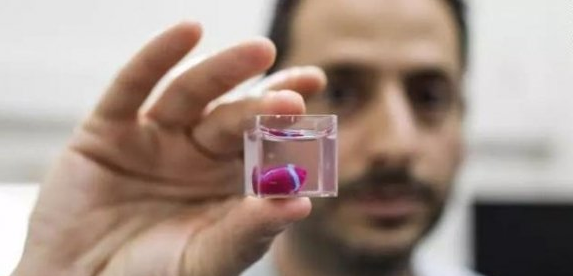 Organ transplants ushered in change Israeli scientists make the world's first miniature 3D printed heart