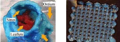 Hydrogel 3D printing for rapid generation of complex vessels